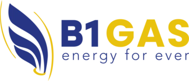 Logo di B1 Gas